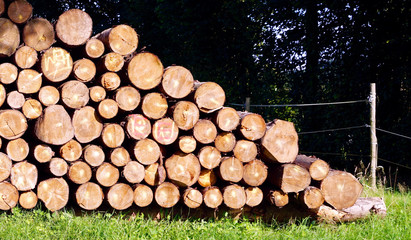 firewood