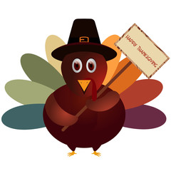 Thanksgiving Turkey / Turkey with colorful tail wish you  happy Thanksgiving day