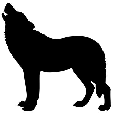 Vector silhouette of a wolf 4