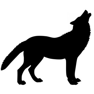 silhouette of a wolf 3