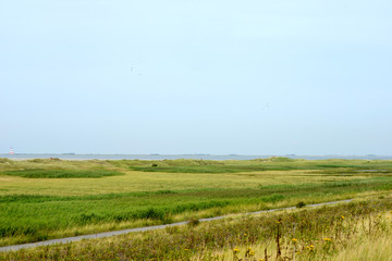 Westerhever Leuchtturm - Nordsee 