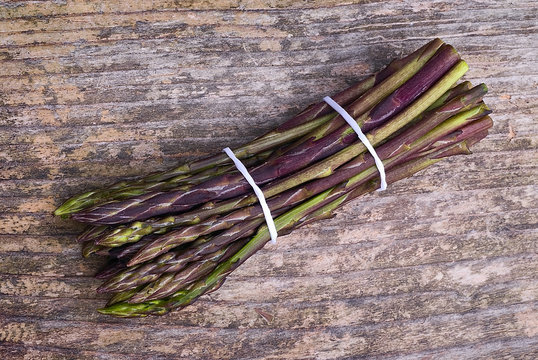 Fresh wild asparagus (Asparagus acutifolius)