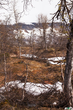 Norway Landscape, Sysen Dam,near Eidfjord 