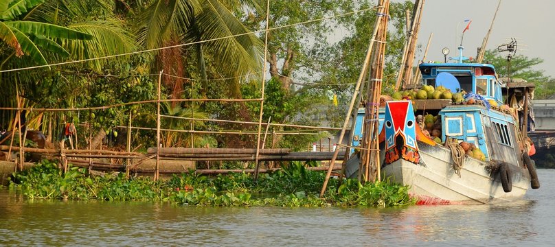 boats in the valley of the Mekong river in Vietnam