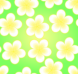 Green vector seamless pattern with frangipani flowers