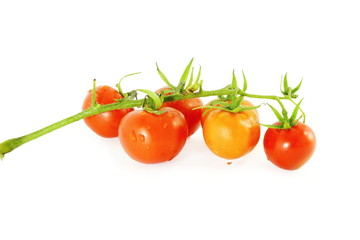 red ripe tomato