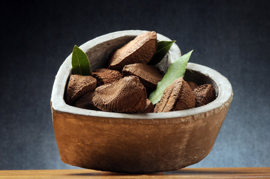 Bertholletia excelsa Brazil nut nuez de Brasil  Nuez amaz&oacute;nica Casta&ntilde;a de monte Casta&ntilde;a de Par&aacute; Coquito brasile&ntilde;o Noce Paranussbaum del Brasile Noce Noyer d&rsquo;Amazonie ブラジルナッツ  Orzesznica wyniosła