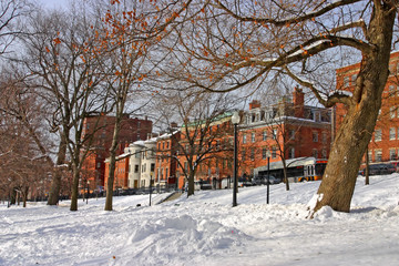Fototapeta na wymiar Boston Winter..