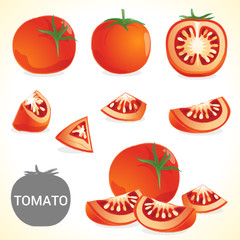 Set of tomato in various styles vector format