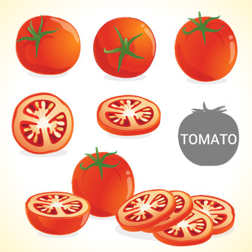 Set of tomato in various styles vector format
