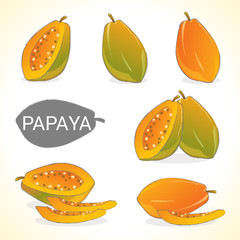 Set of ripe papaya fruit in various styles vector format
