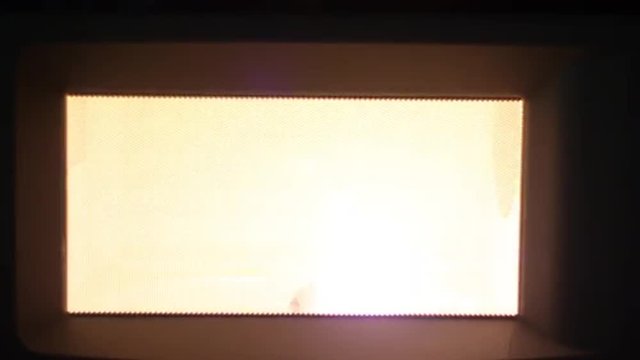 Microwaving Light Buld