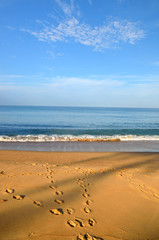 Beautiful beach with blue sky at Mai khao beach, Phuket, Thailand..