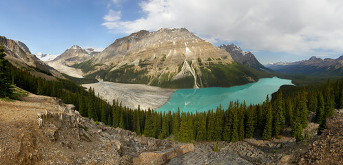 Peyto Lake - glacier  lake located in Banff National Park in the Canadian Rockies.