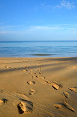 Beautiful beach with blue sky at Mai khao beach, Phuket, Thailand..