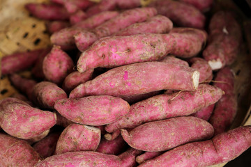 Sweet potatoes selling in market.