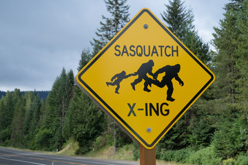 Sasquatch Crossing - 89886038