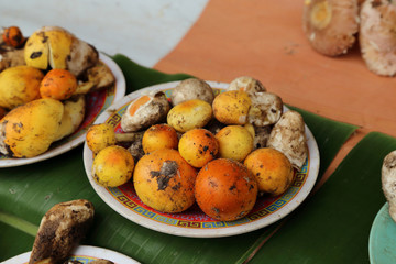 Wild mushroom sell in market thailand.