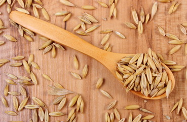 Organic oat grains on wooden spoon, healthy nutrition