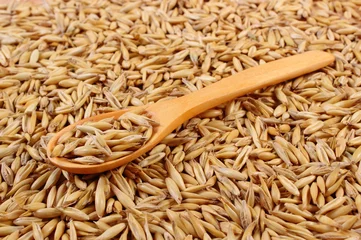 Gordijnen Organic oat grains with wooden spoon, healthy nutrition © ratmaner