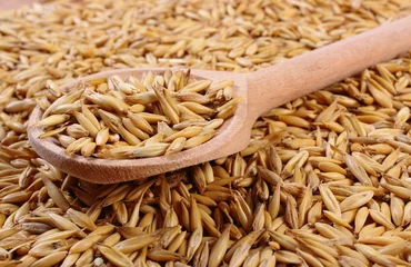 Gordijnen Organic oat grains with wooden spoon, healthy nutrition © ratmaner