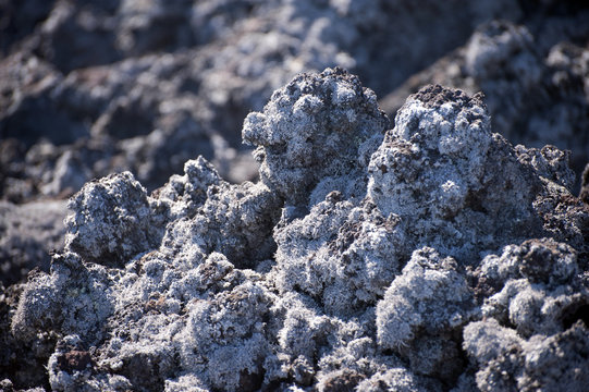 Lava stone, saddle load, Hawaii Island