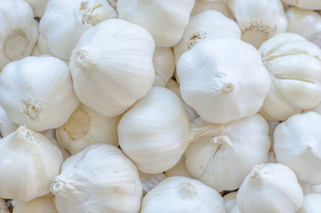 Garlic texture background.
