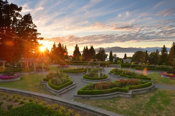 UBC Rose Garden at sunset