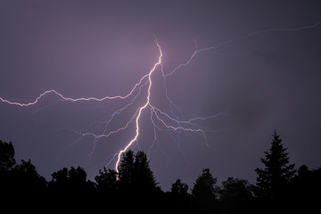 Lightning Silhouettes Trees