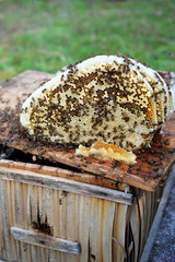 Beehives