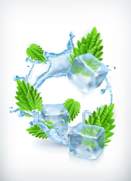 Mint with ice cubes and water splash, vector icon