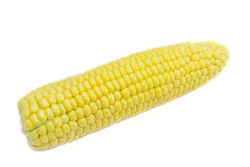 Ear of young corn on a light background closeup