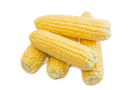 Several ears of young corn on a light background closeup