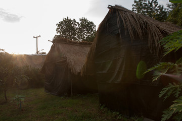 mushroom house