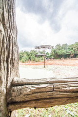 Obraz premium Zoo