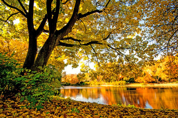 Fototapeta Piękny jesienny dzień obraz