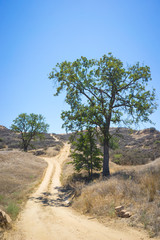 Fototapeta premium California Hill Trails