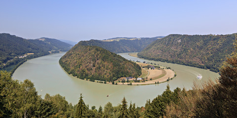 Donauschlinge bei Schlögen / Österreich