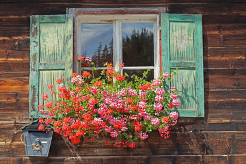 altes Holzfenster mit Blumenkasten