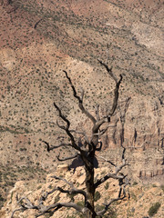 Grand Canyon Between Arizona and Utah in The USA