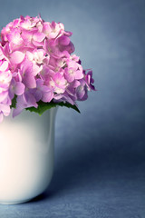 the sweet  hydrangea flowers in white vase on grunge background