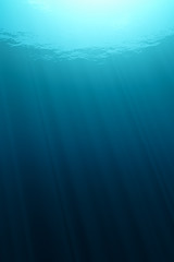 underwater view