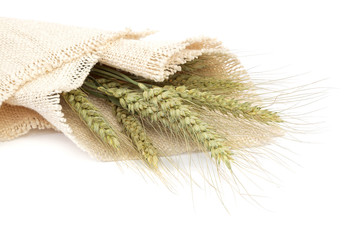 Sheaf of wheat ears on white background.