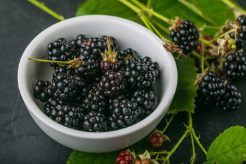 Blackberry with leaves