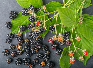 Blackberries on wooden background