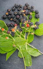 Blackberries on wooden background