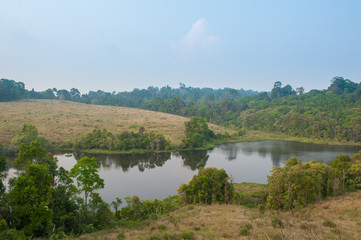 Fototapeta na wymiar Green meadow,Khao Yai National Park Thailand