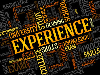 Obraz premium Experience word cloud, business concept