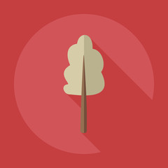 Flat modern design with shadow icons maple