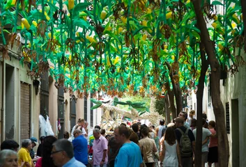 Foto op Canvas Decorated streets of Gracia district.  Corn theme © JackF